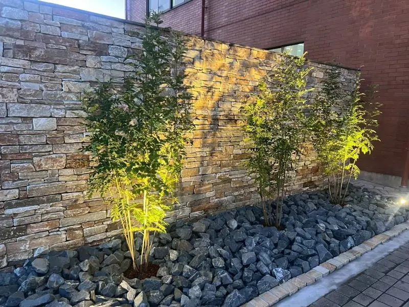 石張りの門まわりと植栽のライトアップ