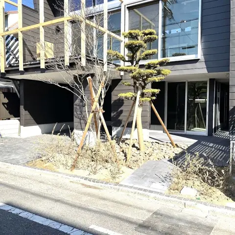 愛知県のアプローチ・芝・植栽の施工事例（2枚目）
