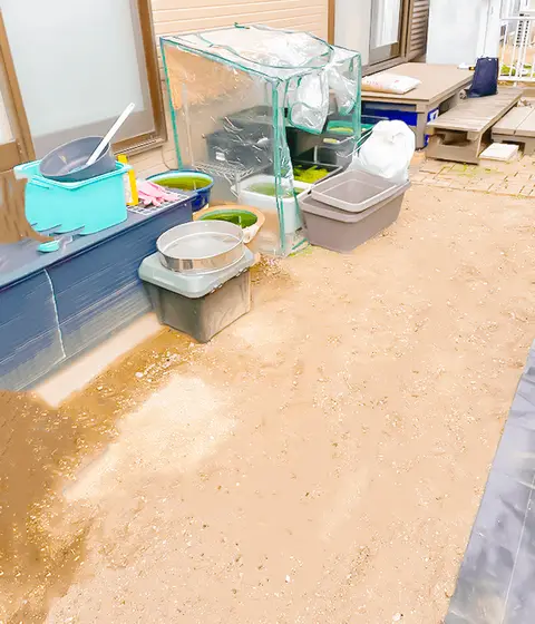 芝・植栽の施工事例