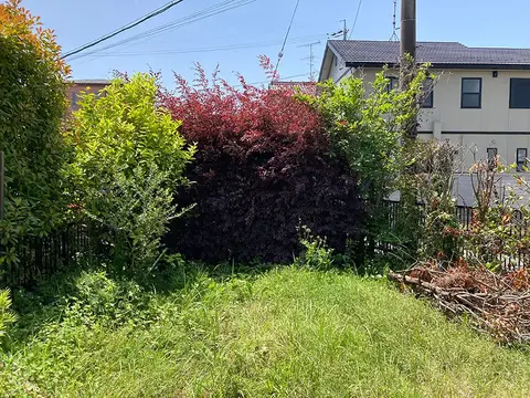 岐阜県の芝・植栽の施工事例