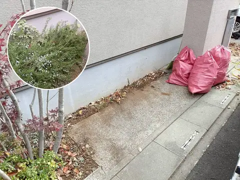 埼玉県のお庭まわりの施工事例（3枚目）